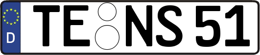 TE-NS51