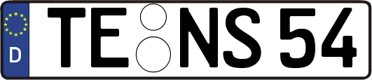 TE-NS54