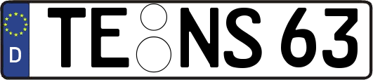 TE-NS63