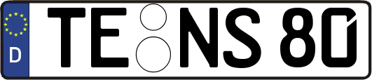 TE-NS80