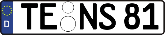 TE-NS81
