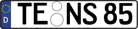 TE-NS85