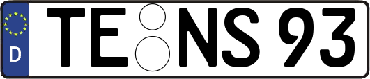 TE-NS93