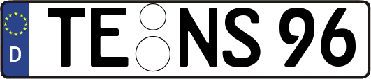 TE-NS96