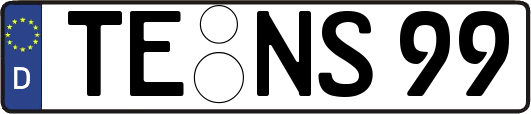 TE-NS99