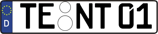 TE-NT01