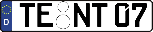 TE-NT07
