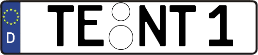 TE-NT1