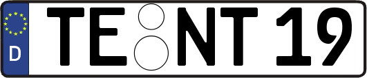TE-NT19