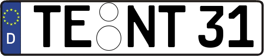 TE-NT31