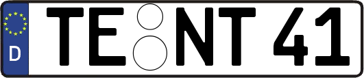 TE-NT41