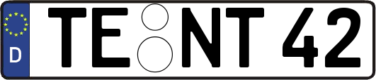 TE-NT42