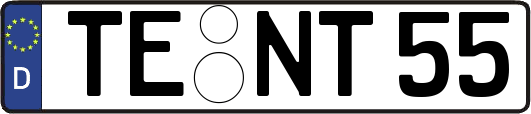 TE-NT55