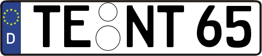 TE-NT65