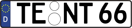 TE-NT66