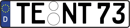 TE-NT73