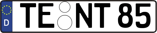 TE-NT85