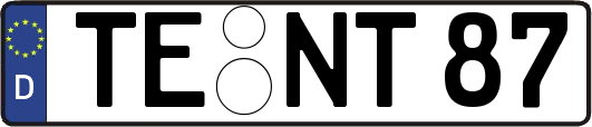 TE-NT87