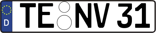 TE-NV31