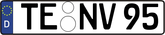 TE-NV95