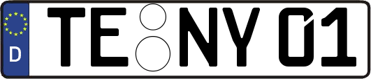 TE-NY01
