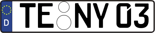TE-NY03