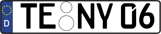 TE-NY06