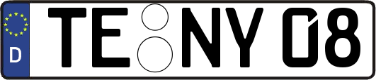 TE-NY08