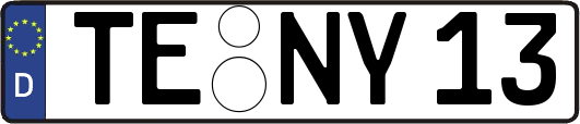 TE-NY13
