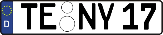 TE-NY17