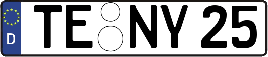 TE-NY25