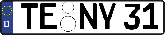 TE-NY31