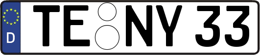 TE-NY33