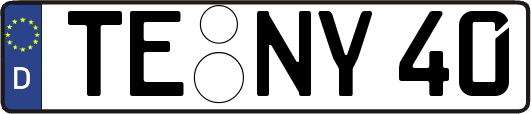 TE-NY40