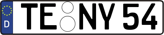 TE-NY54
