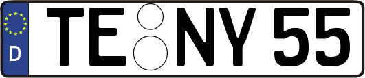 TE-NY55