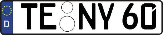 TE-NY60