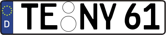 TE-NY61