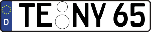 TE-NY65