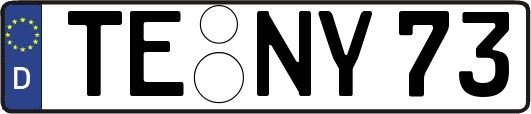 TE-NY73