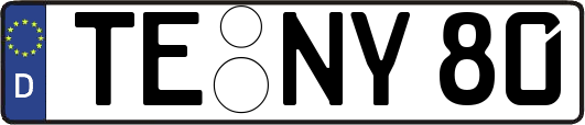 TE-NY80