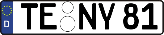 TE-NY81