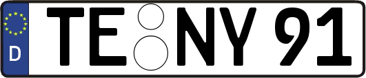 TE-NY91