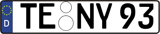TE-NY93