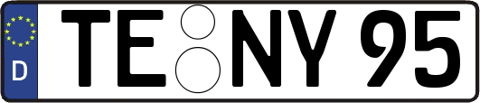 TE-NY95