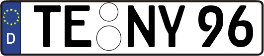 TE-NY96