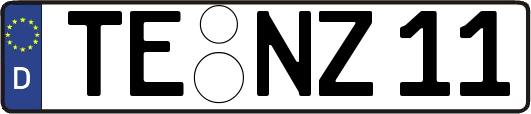 TE-NZ11