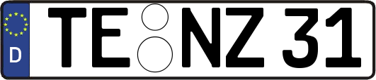 TE-NZ31