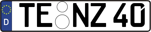 TE-NZ40