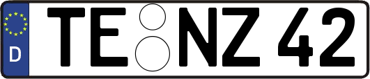 TE-NZ42